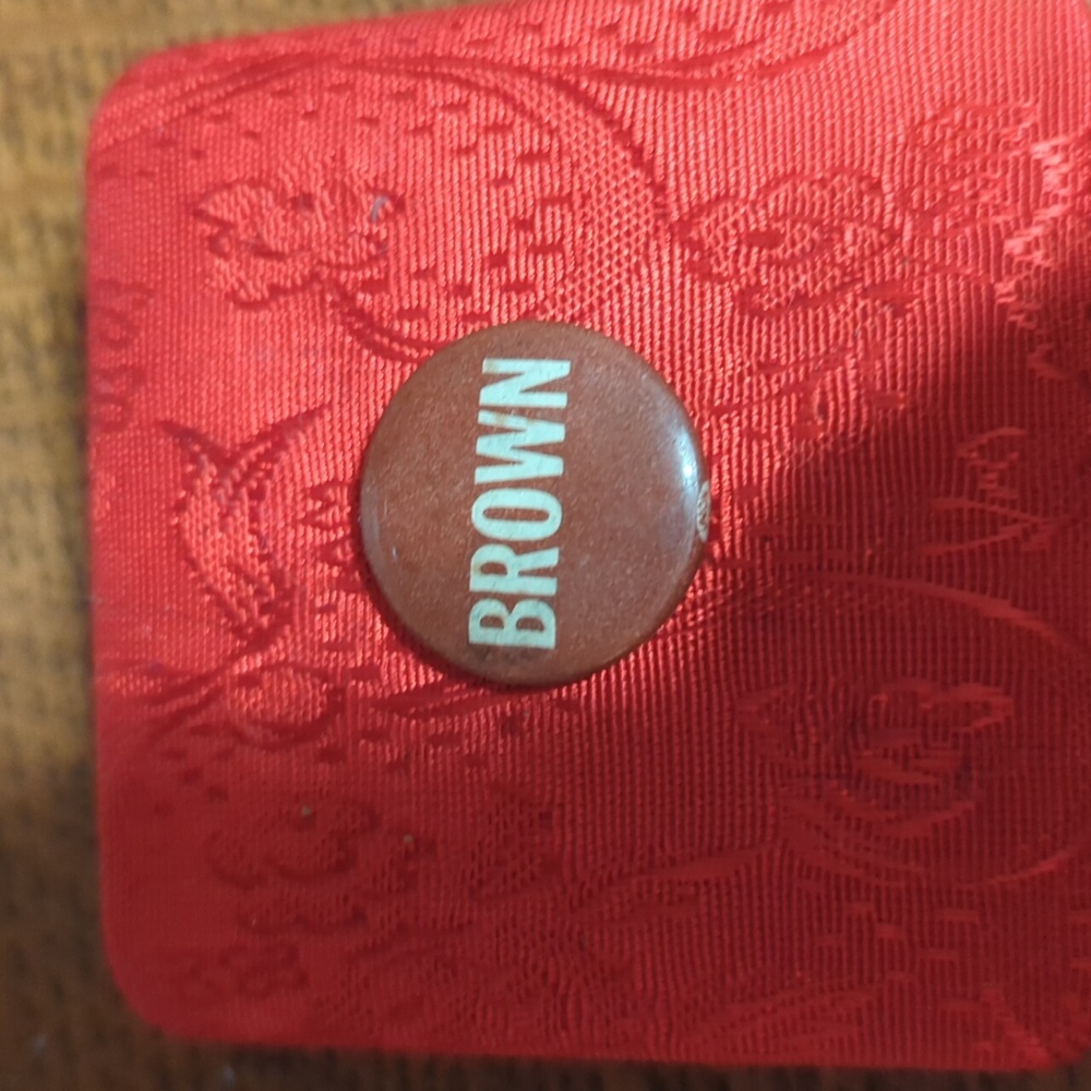 1970 Brown political pin